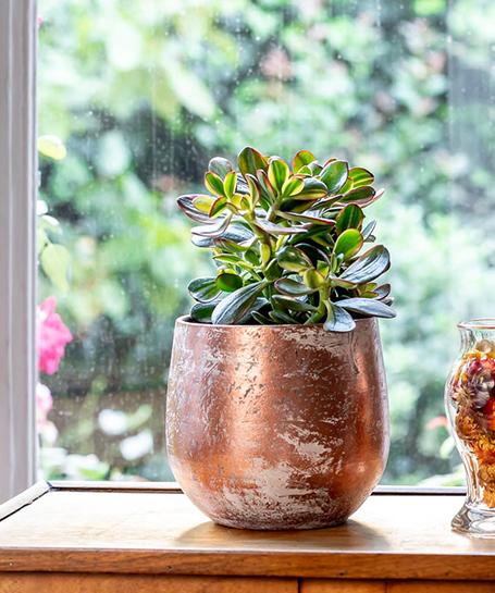 Cache Pot Interieur Cuivre Livraison Monceau Fleurs