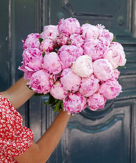 Bouquet De Pivoines Roses Sarah Bernhardt Livraison Monceau Fleurs