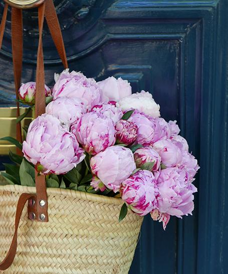 Bouquet De Pivoines Roses Sarah Bernhardt Livraison Monceau Fleurs