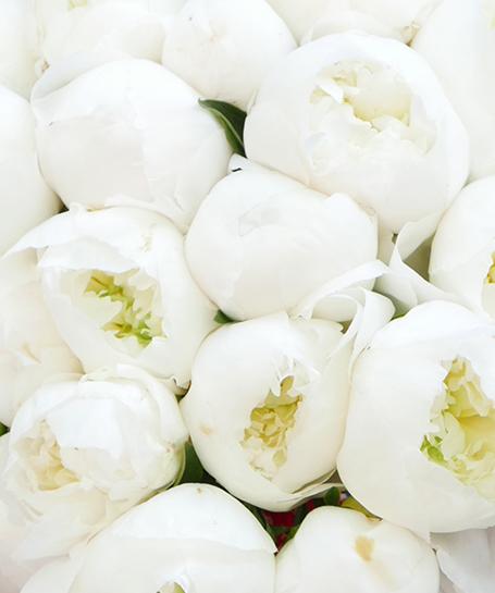 Bouquet De Pivoines Blanches Duchesse Livraison Monceau Fleurs