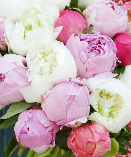 Bouquet de fleurs de pivoines mélangées - Livraison Monceau Fleurs