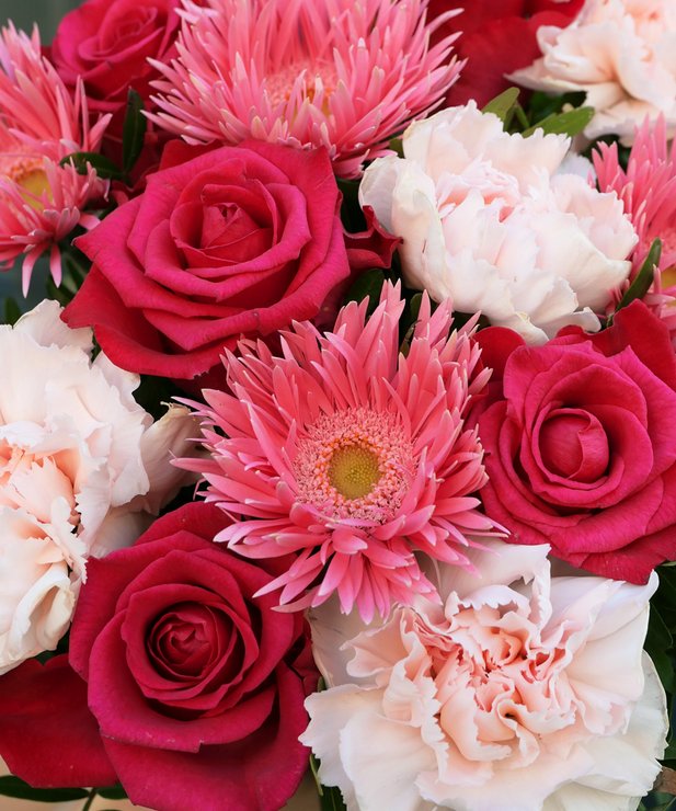 Bouquet de fleurs Agar | Germini, Œillet et Roses | Livraison 24h